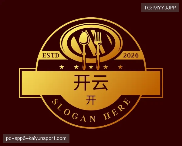 介绍开云世界杯